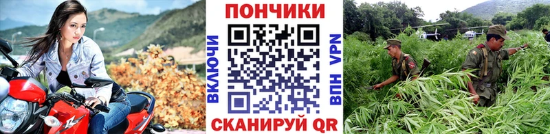 Бошки марихуана план  закладка  Приморск 